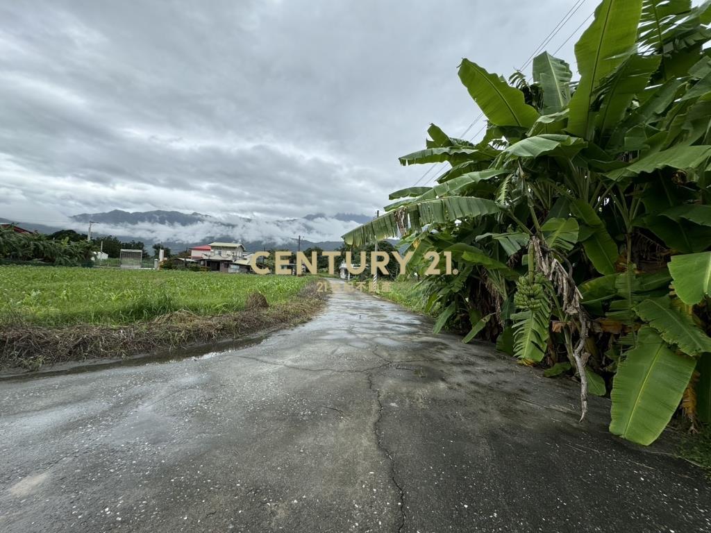 (4280)豐田文化街美農地(二)