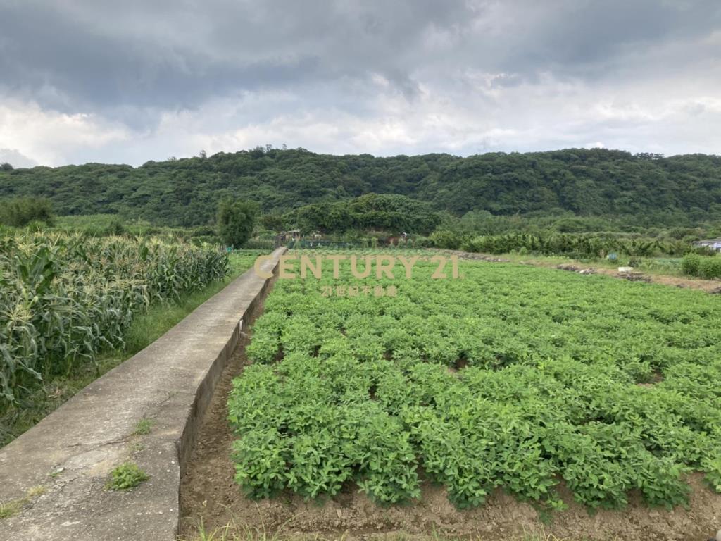 石門梅山農地