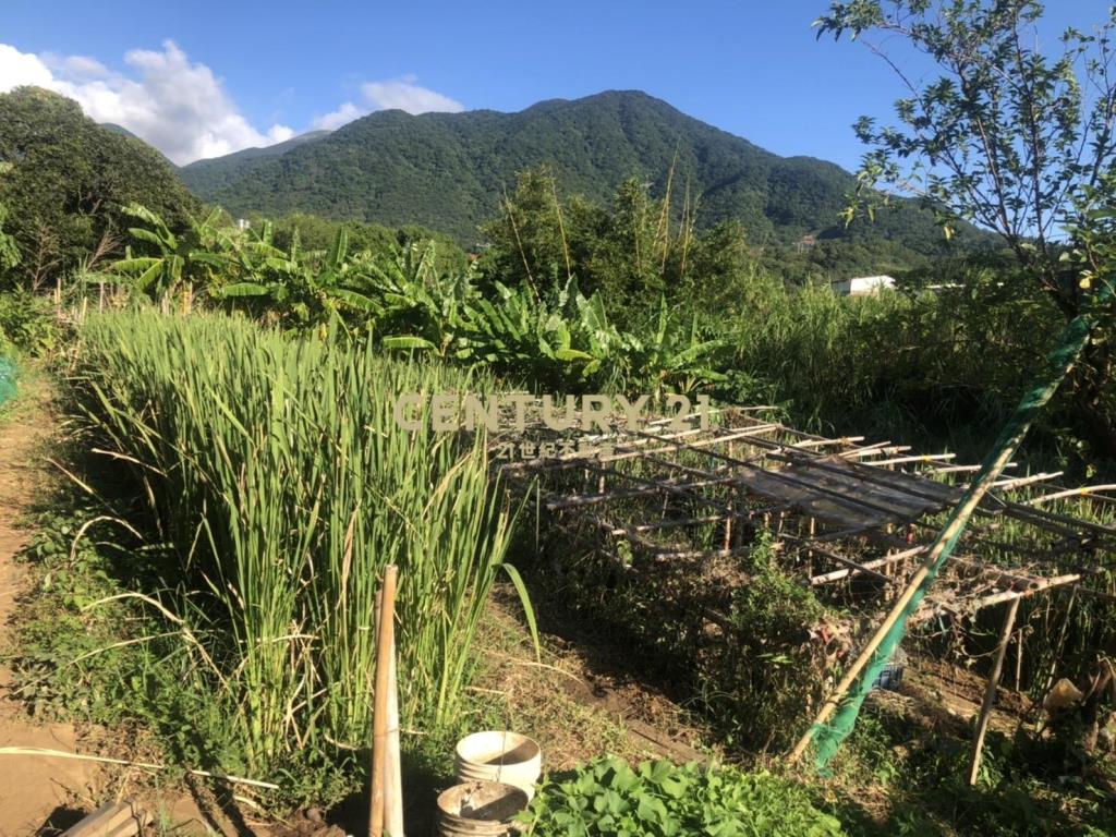 淡水新市鎮二期二