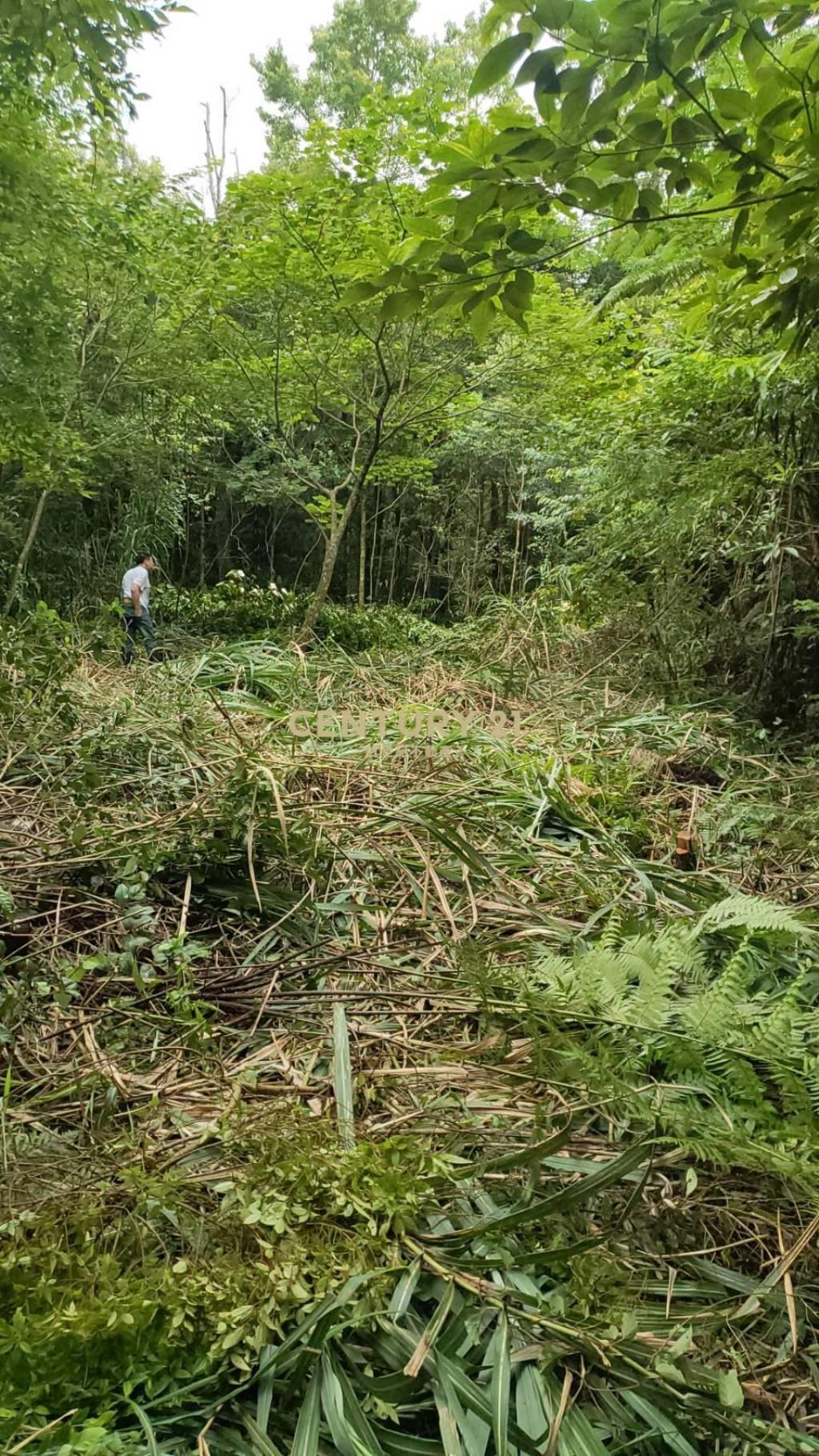 有木佛山農林地