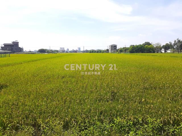 CC291宜市北津大面寬足坪農地