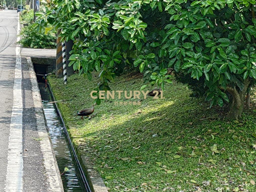 CC429冬山河親水公園老農農地Ⅱ