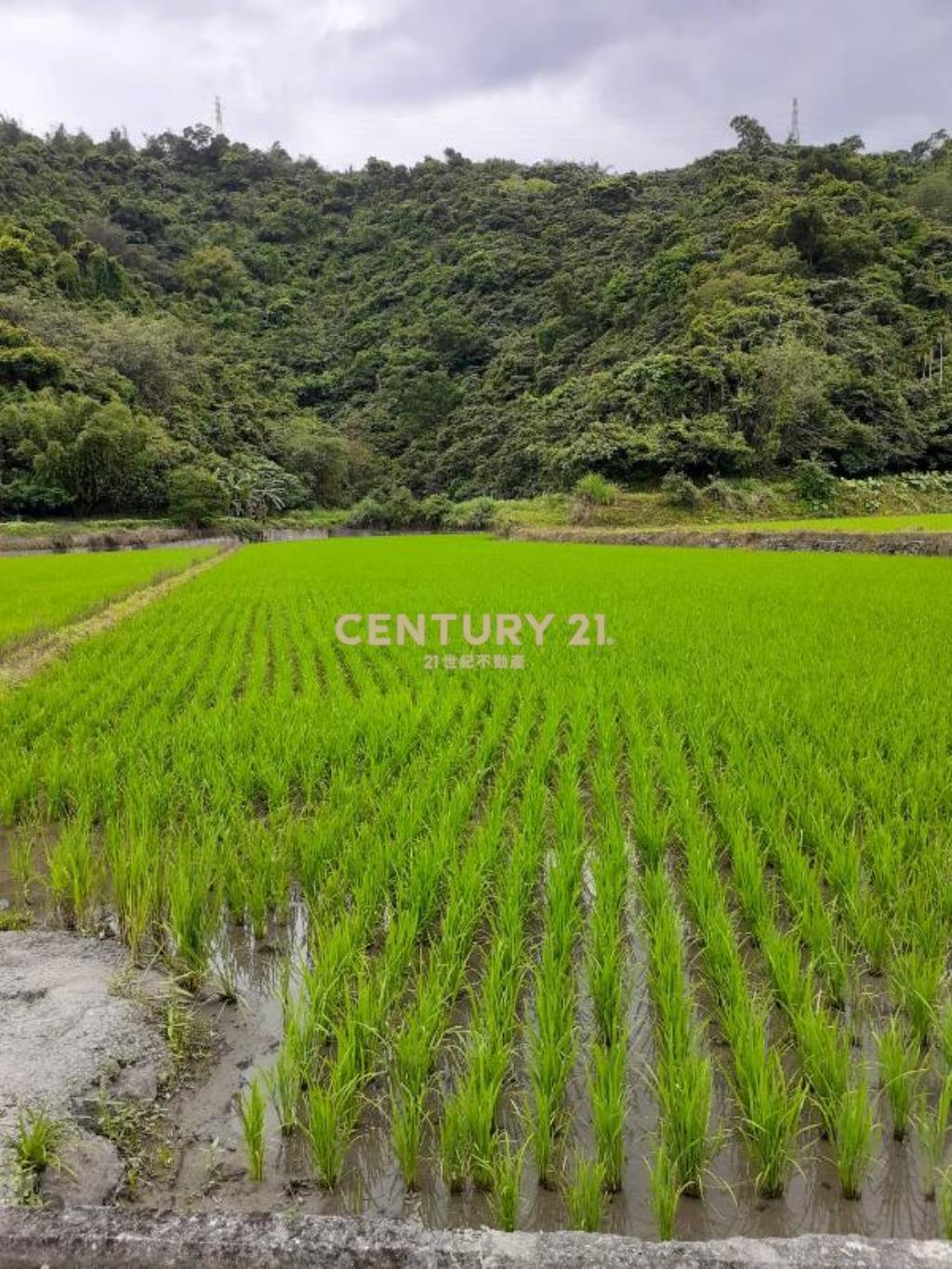 AC823三星天公廟低總價農牧用地