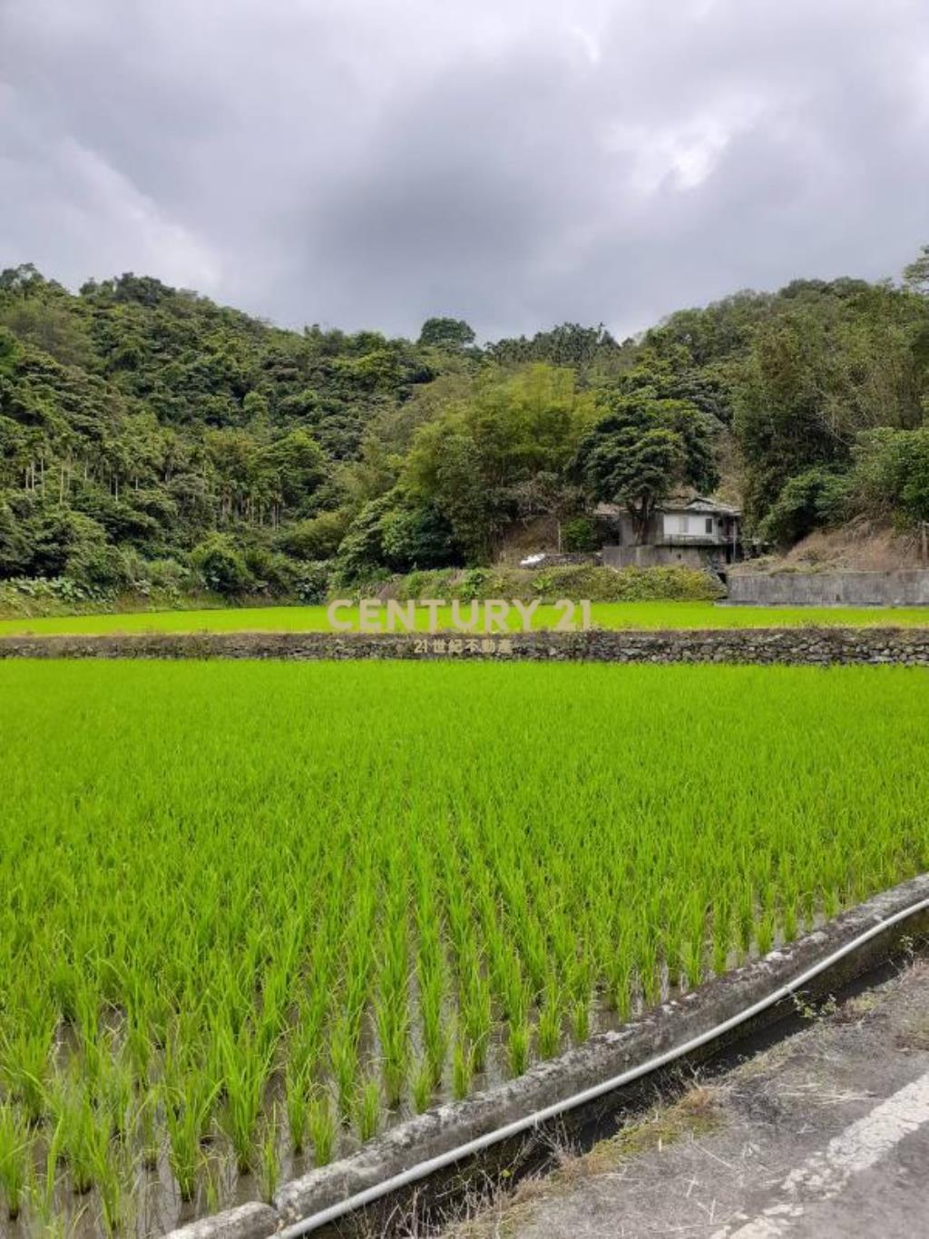 AC823三星天公廟低總價農牧用地