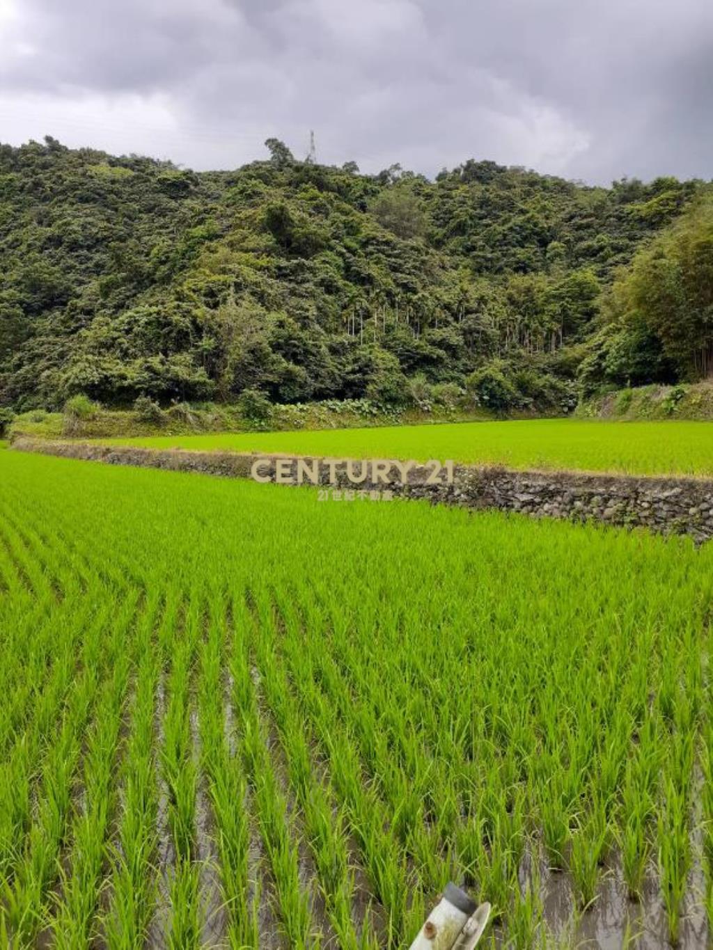 AC823三星天公廟低總價農牧用地