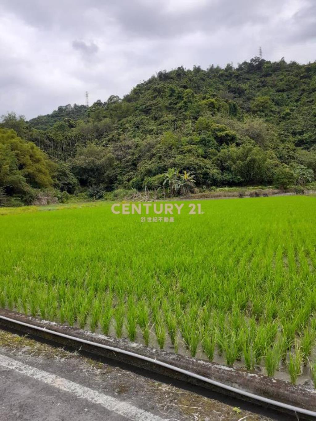 AC823三星天公廟低總價農牧用地