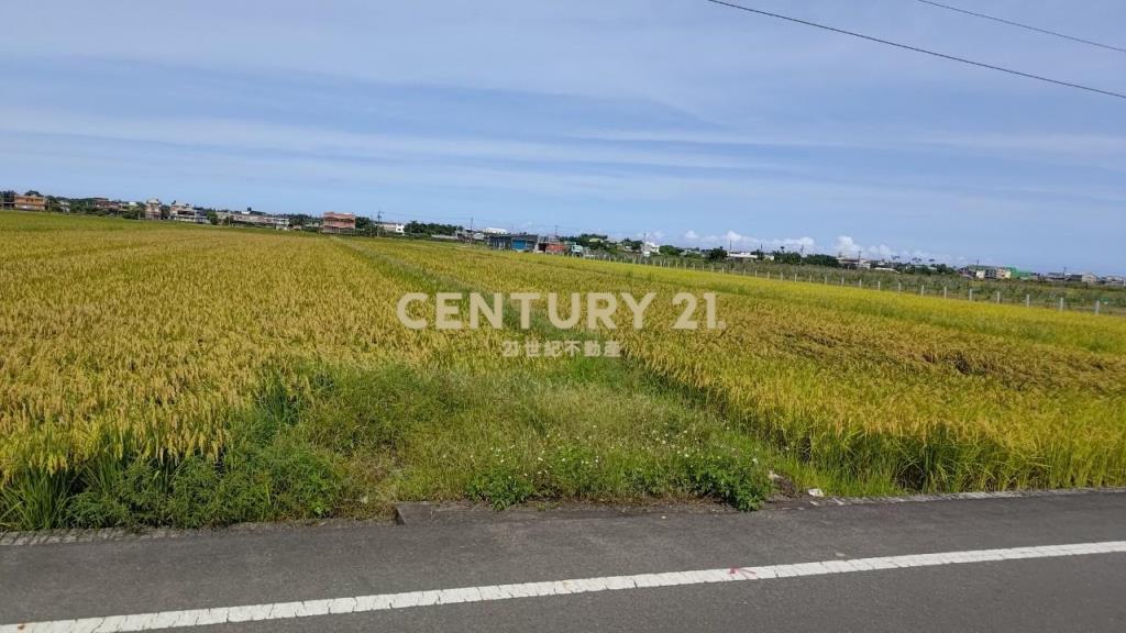 AC827蘭陽動植物王國附近美農地