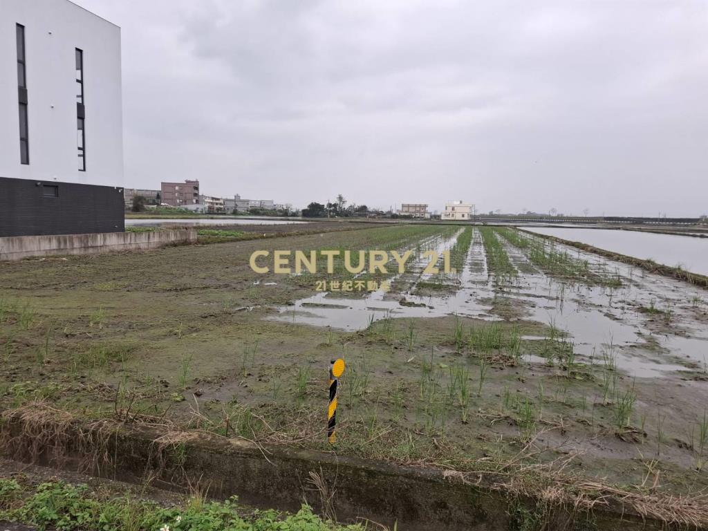 AC856動物王國大面寬足坪農地