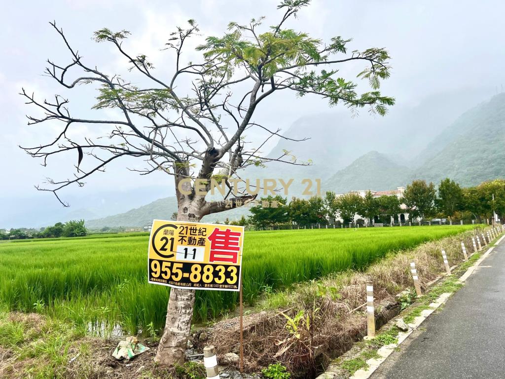 EC164花蓮新城稻田香足坪農地