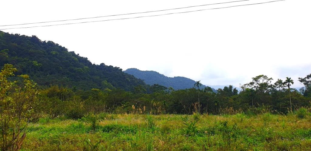 EC175梅花湖旁三千七百坪山坡地