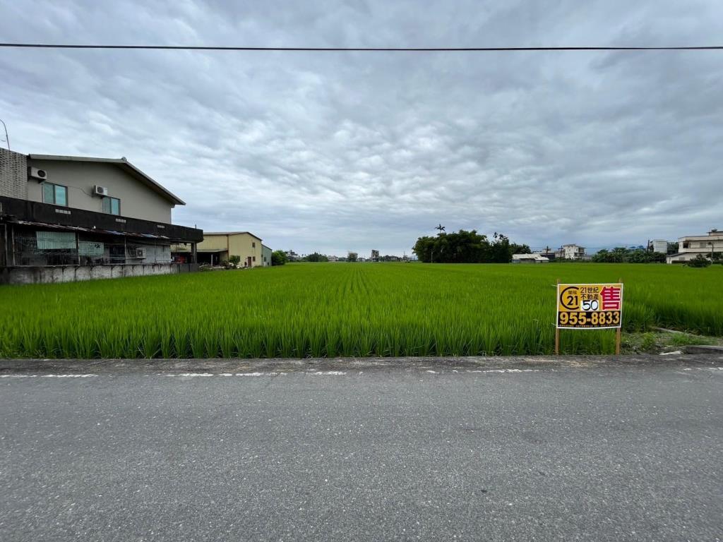 EC194員山大鬮足坪農地