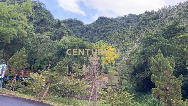 EC200三星龍泉步道旁保育區農地