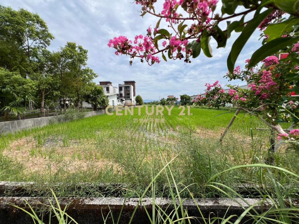 EC201梅花湖山景足坪農地