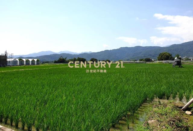 EC223三星田園美景足坪農地