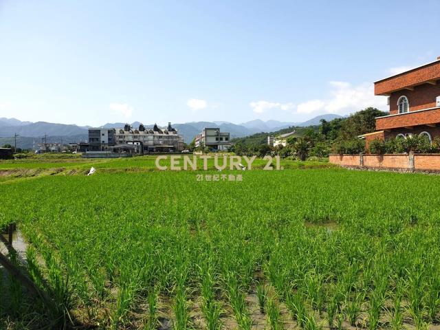EC224近大隱國小足坪農地