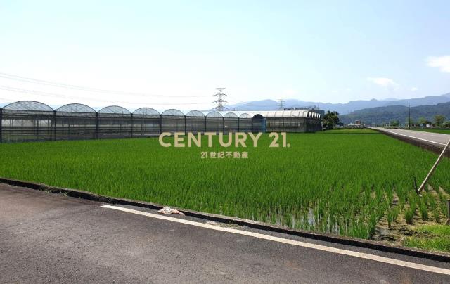 EC225三星萬富國小雙面路足坪農地