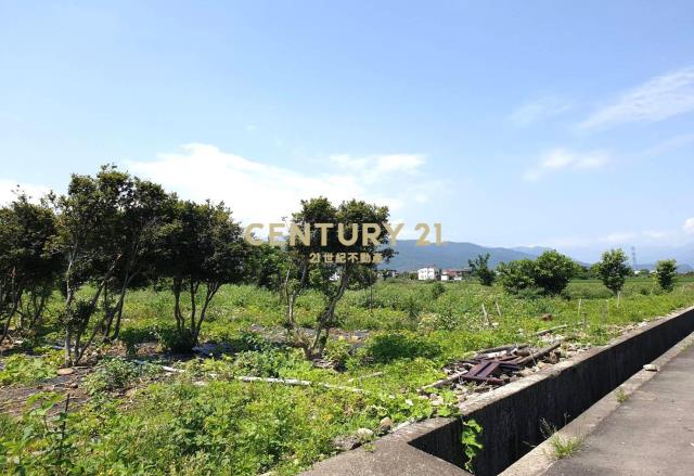 EC226三星三面臨路雙足坪農地