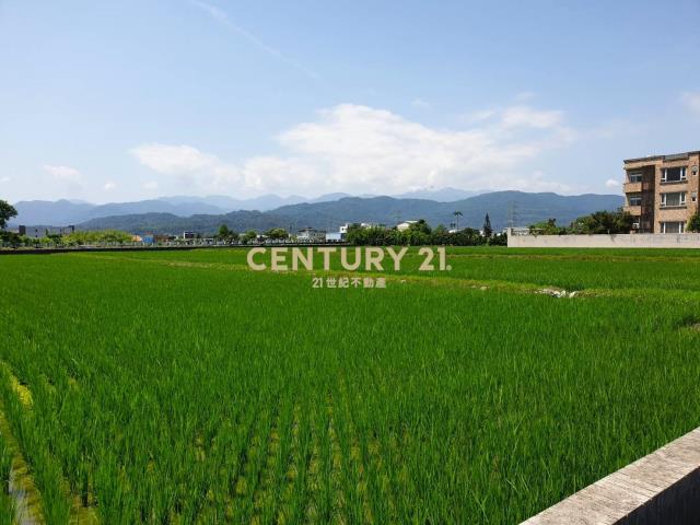 EC228三星尚義大面寬雙面路農地