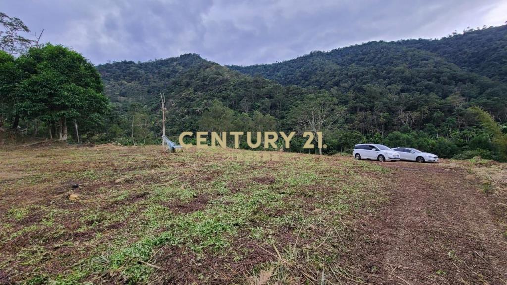 FC333望龍埤景觀山坡地