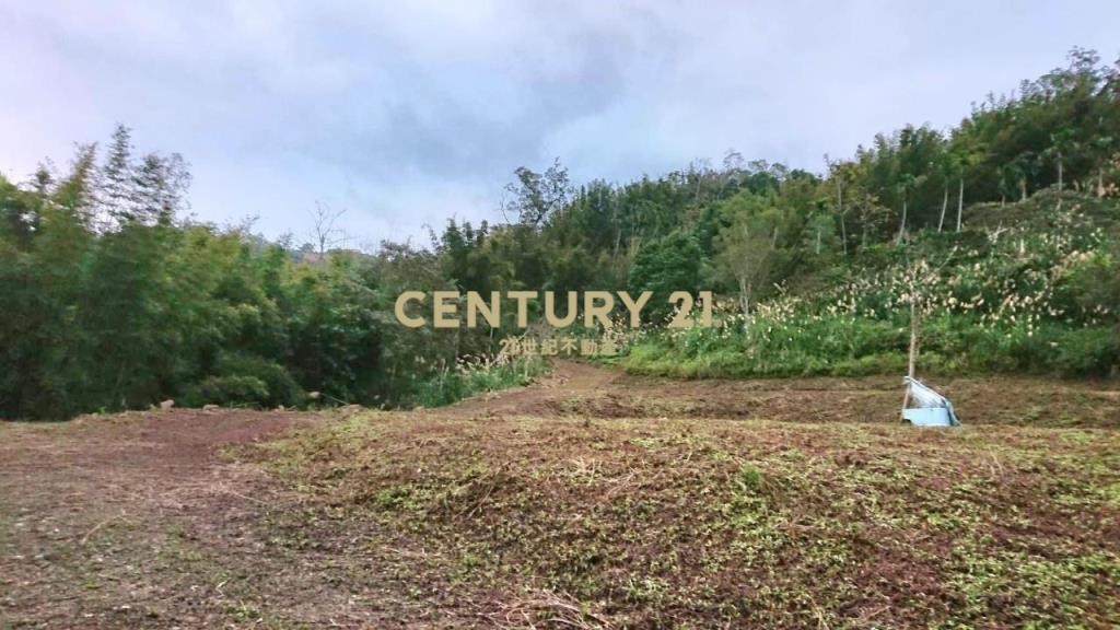 FC333望龍埤景觀山坡地