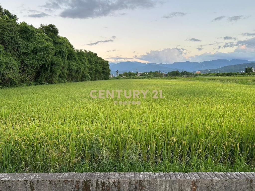 FC360三星漂亮鄉野大條路美農地