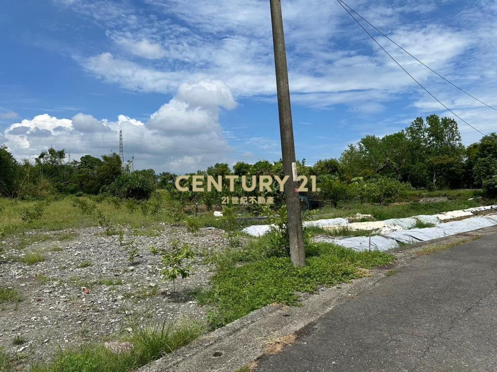 FC370羅東櫻花步道雙面路老農夫的田