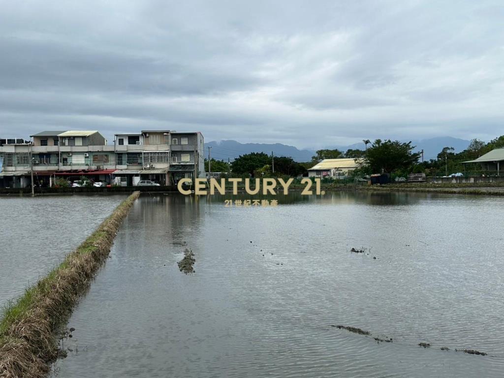 FC375三星臨路足坪好農地