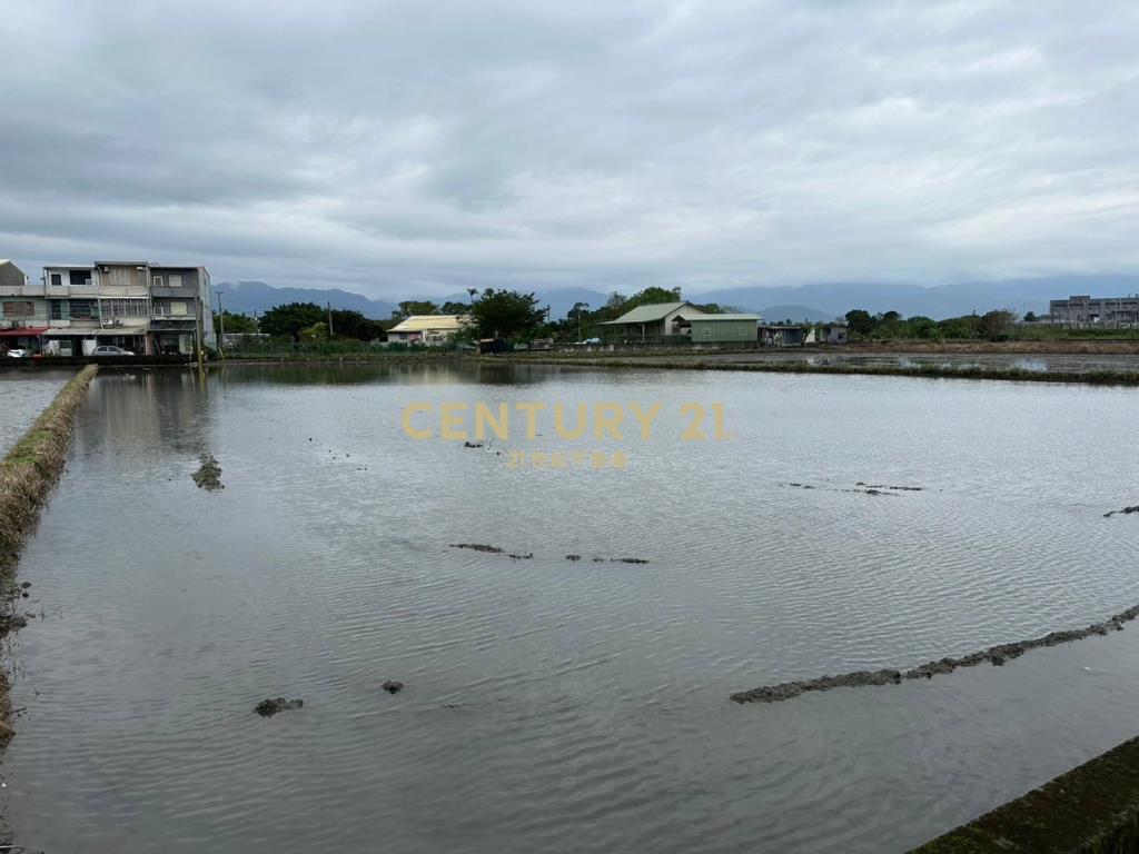 FC375三星臨路足坪好農地