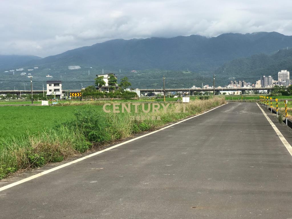 DC194二龍近高速公路大面寬農地