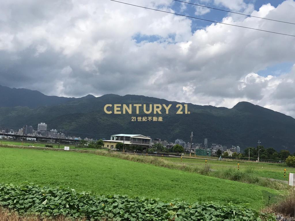 DC194二龍近高速公路大面寬農地