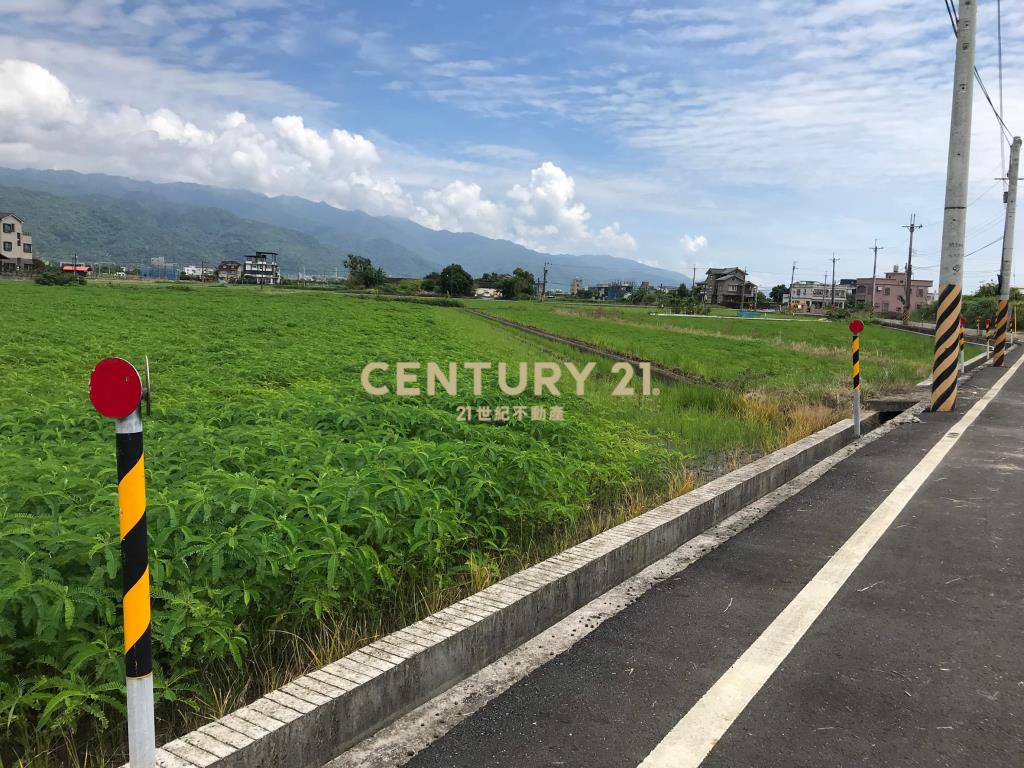 DC194二龍近高速公路大面寬農地