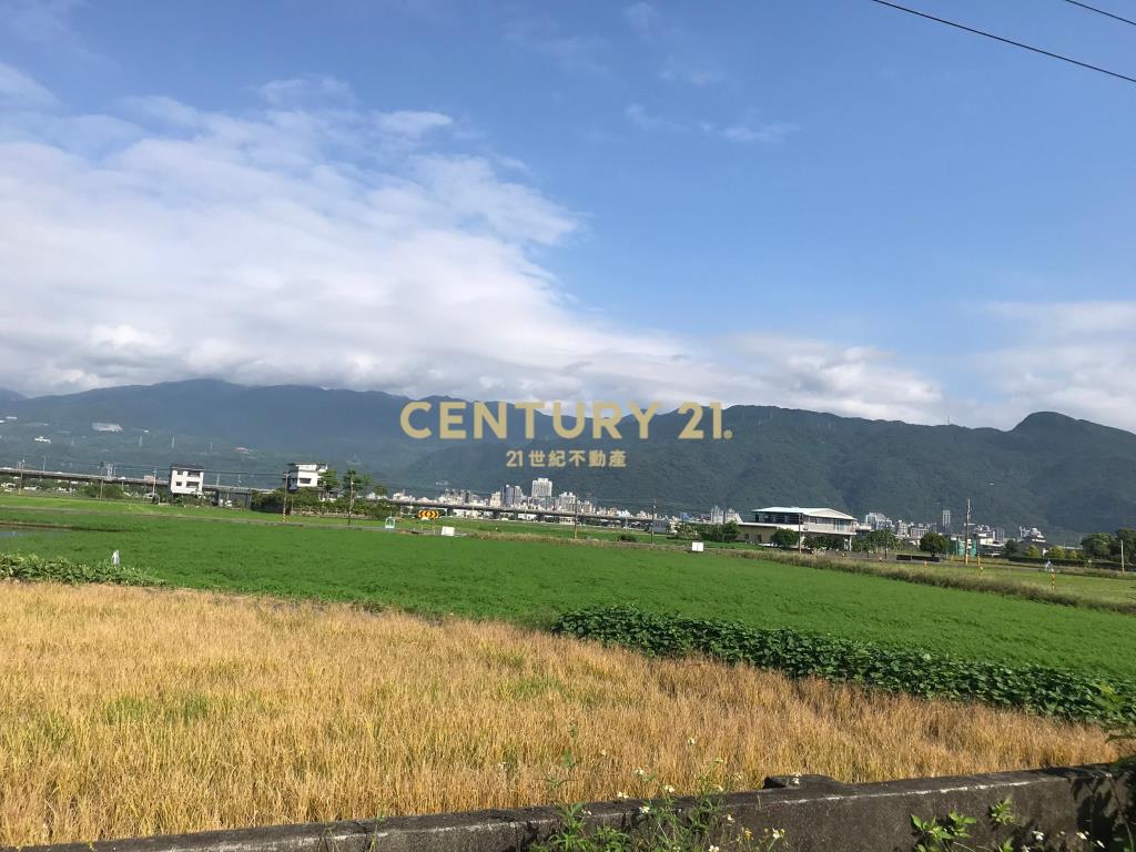 DC194二龍近高速公路大面寬農地