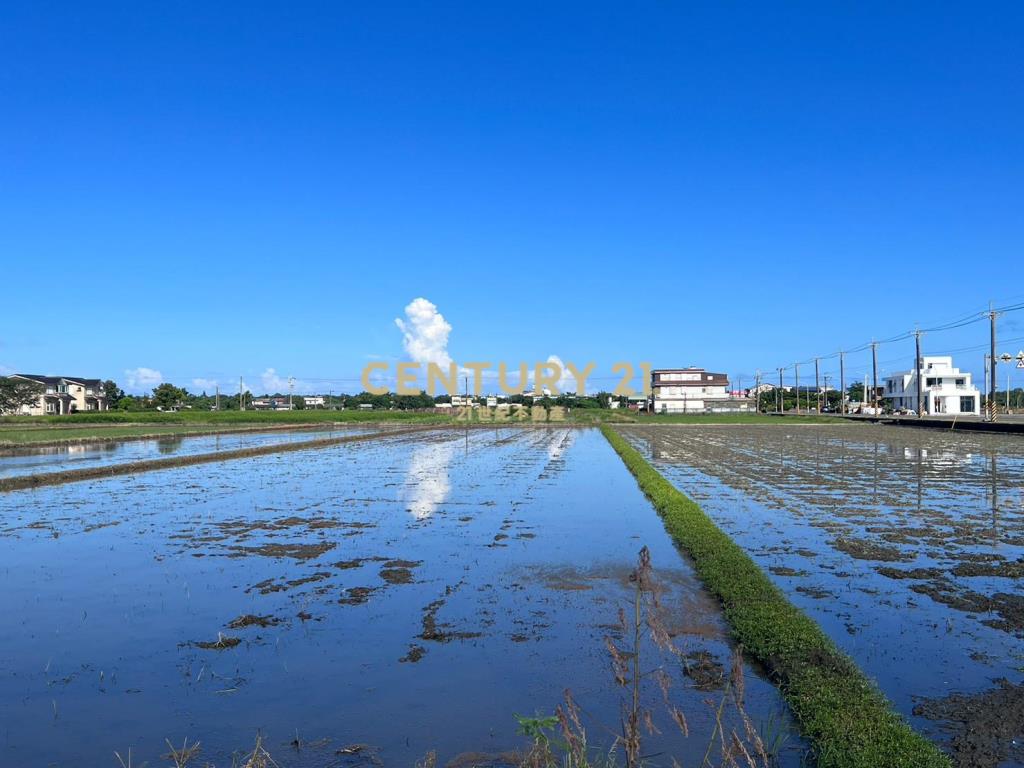 DC311壯圍大橋旁復興美農地