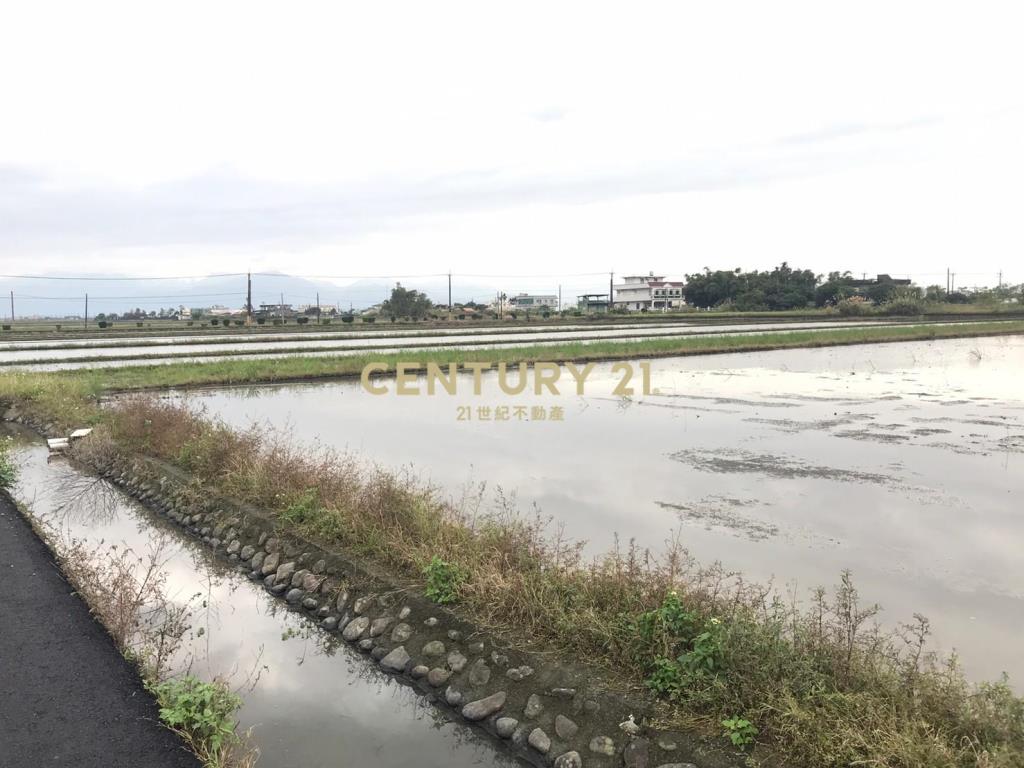 FC330壯圍雙面路足坪農地B