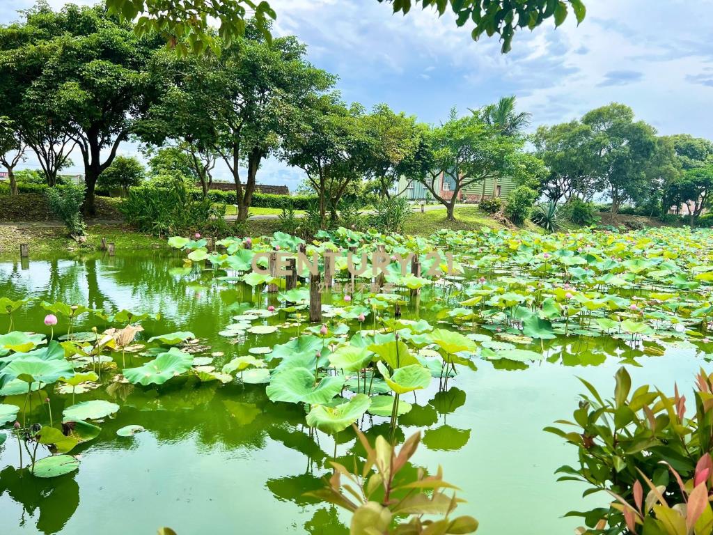 DD204礁溪溼地公園建地送小屋