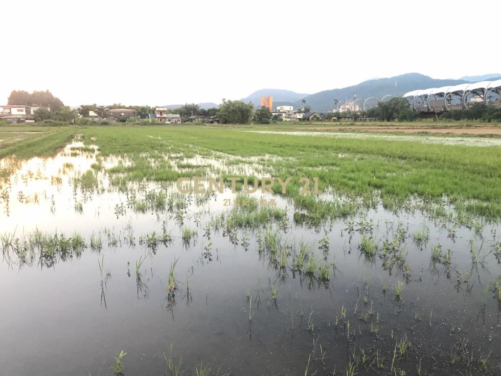 DC371冬山近市區貳分田農地