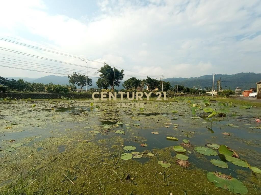 CD148員山持份小建地