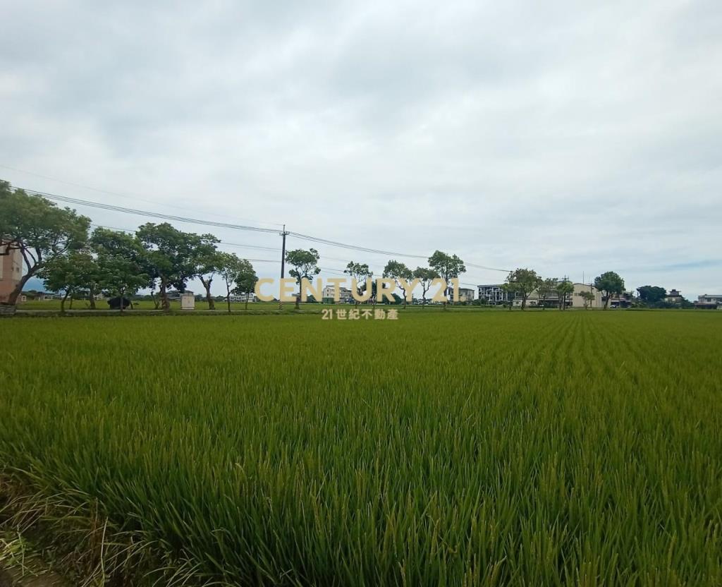 CC501冬山知名露營河岸旁休閒農地