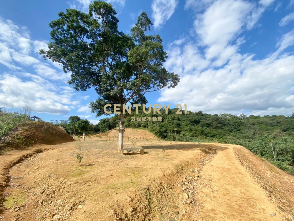 GC201三星美景地勢平坦山坡地