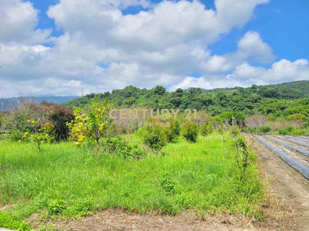 GC255員山東德大馬路邊小農地