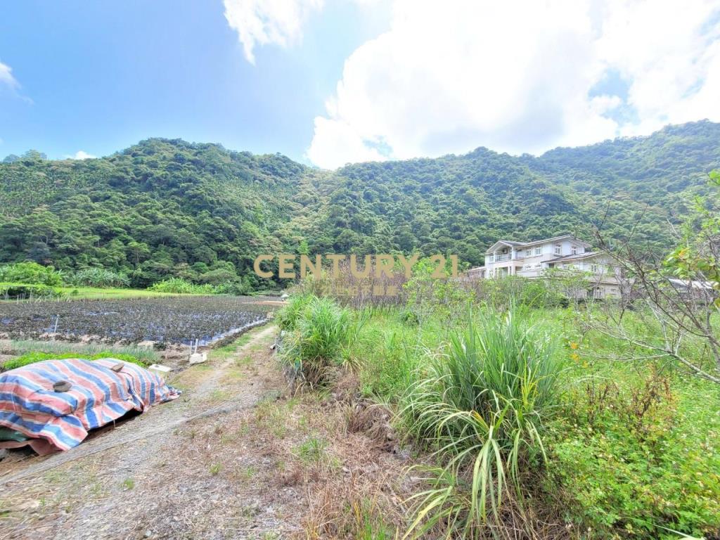 GC256員山大湖山景足坪農地