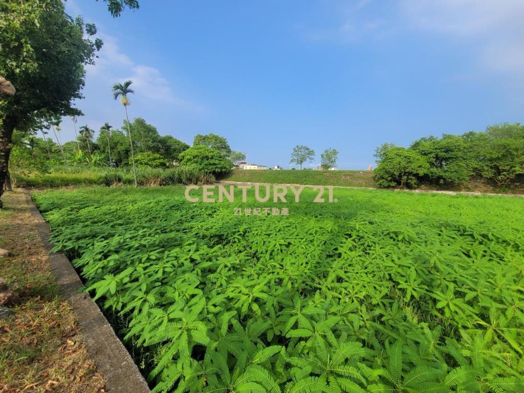 GC354羅東新群雙面路農地