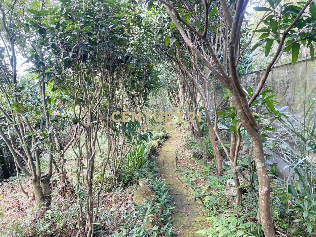 💜三芝💜丙建+農地地上有房