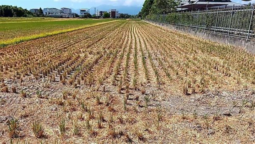 ㊝獨家國小旁農地