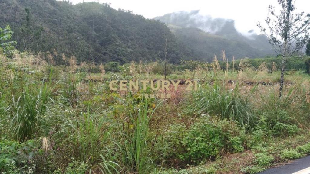 JC076員山冷水坑悠美持分農地