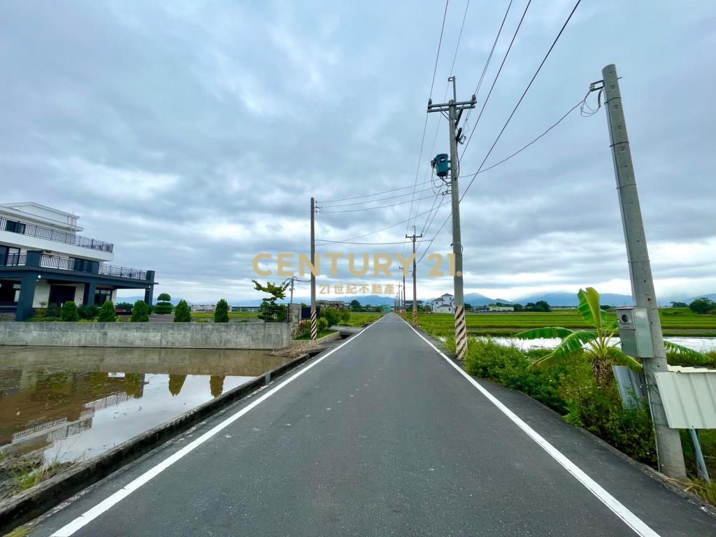 DC310高鐵外溢中興20米足坪農地