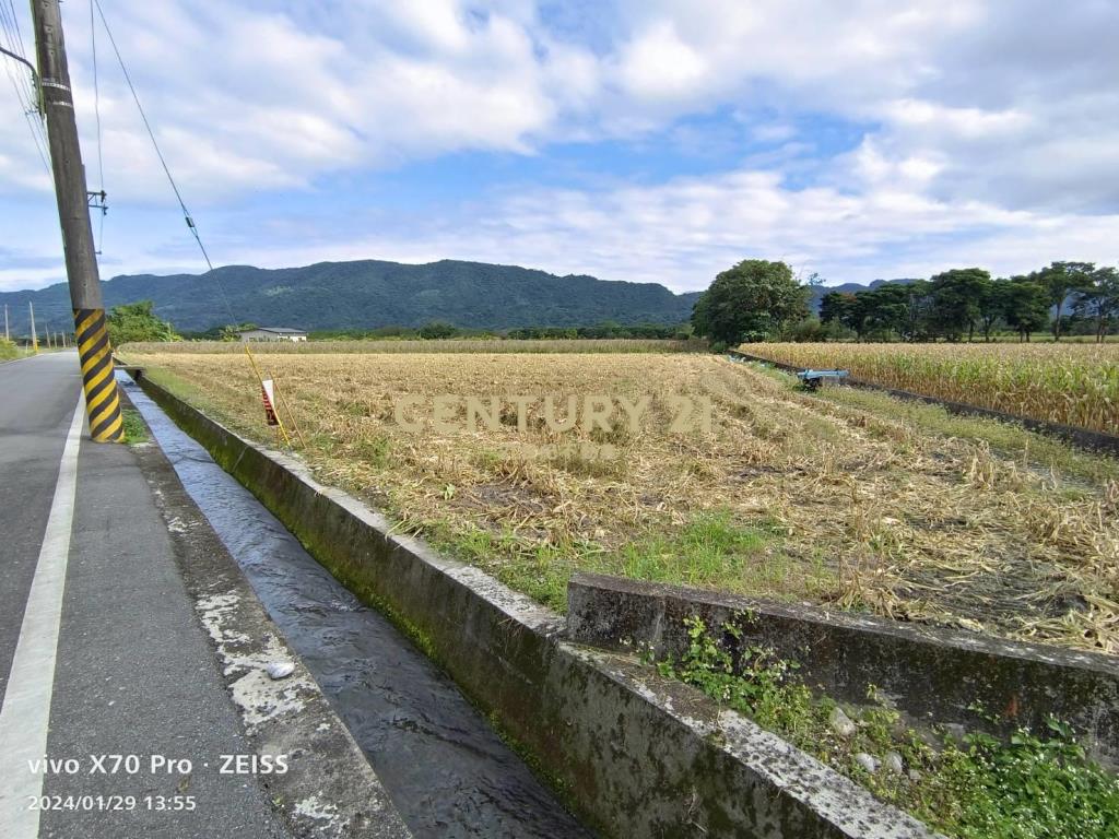 JC264花蓮鳳林大榮1305農地