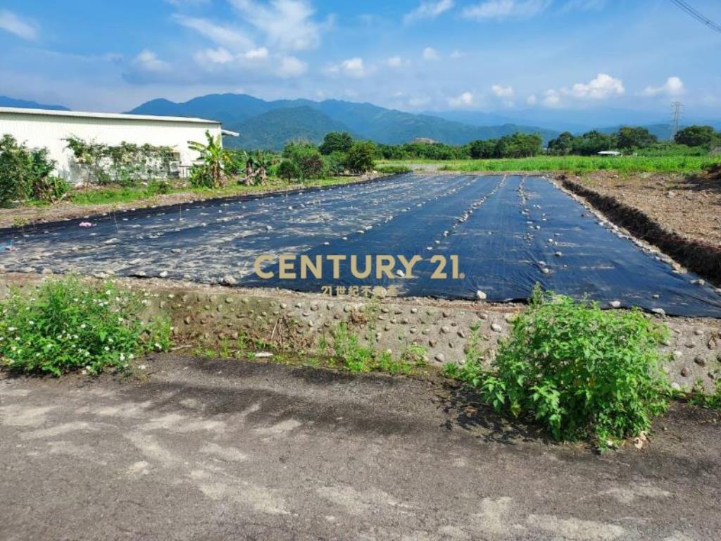 JC288三星即可建老農農地