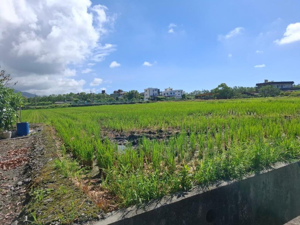 JC296礁溪山景剛好756坪足坪農地