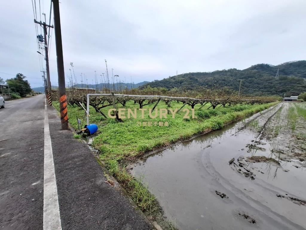 JC313安農溪畔足坪低總價農地